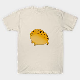 Desert Rain Frog T-Shirt